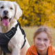 The Rabbitgoo dog harness is highly-rated on Amazon and can fit dogs of all sizes.